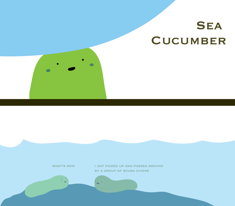 Sea Cucumber