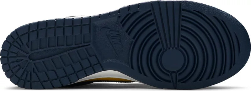 SB Dunk Michigan