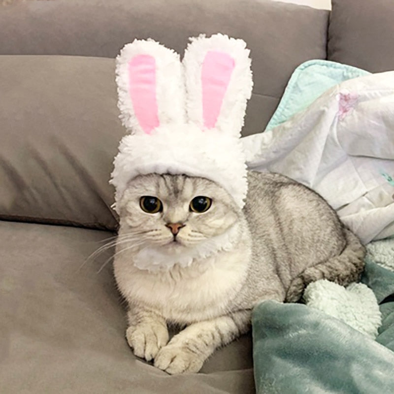 Dressed like bunny