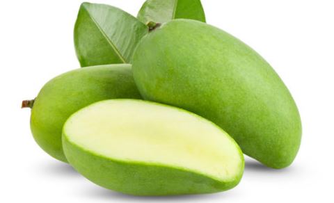 Relatieve grootte Hond Prelude Groene mango – MD-Store
