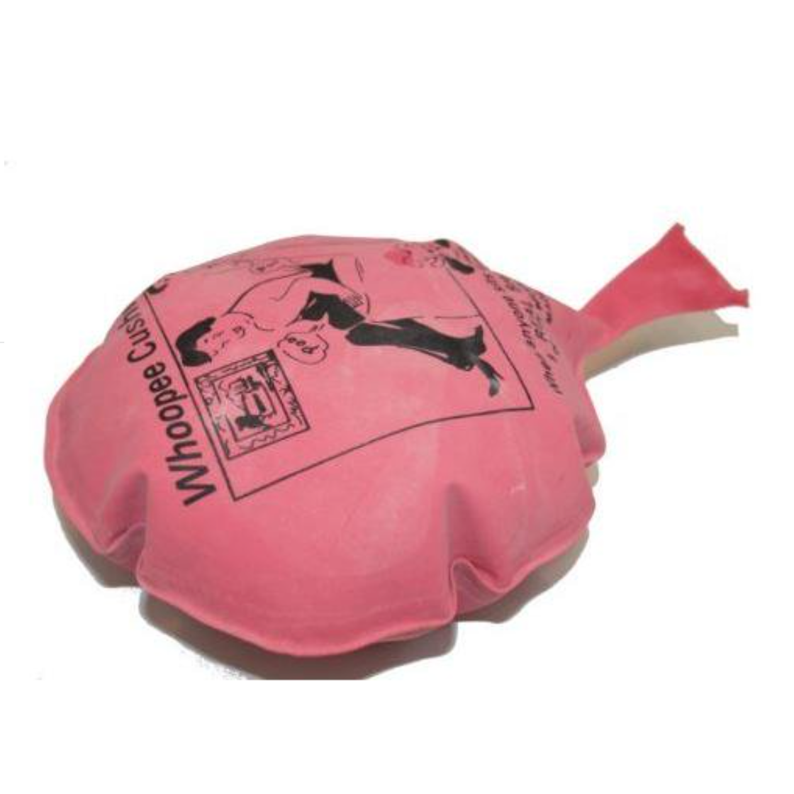 Whoopie Cushion