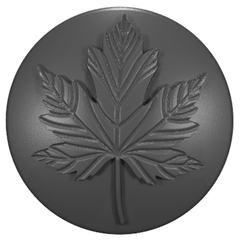 2002 - 2023 Wrangler Tailgate Lock Caps (HD)