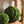 Load image into Gallery viewer, Mood Moss Orb 5.5"