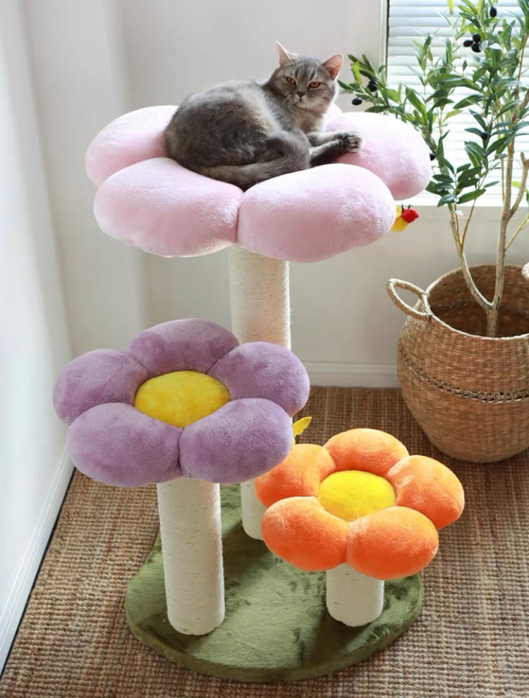 Rascador Para Gatos En Forma De Flor, Lindas Dos Flores La Elegante  Compañía De Mascotas 