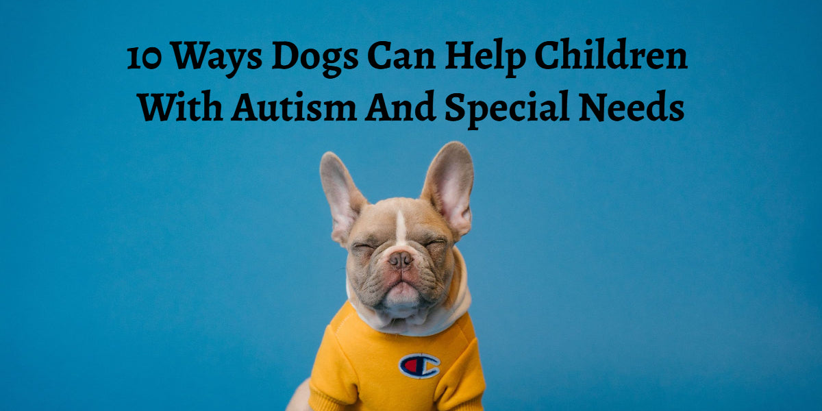 do dogs have special needs
