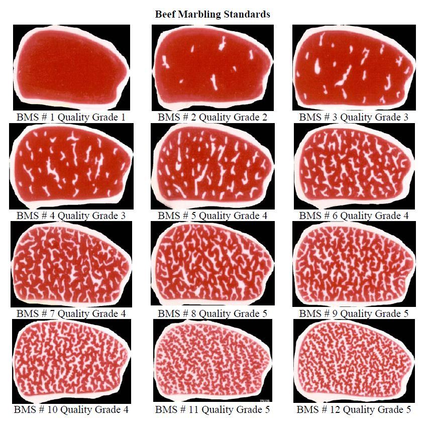 Australian Marble Scores Explained Steak King