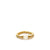 Ring Gold-filled met Maansteen