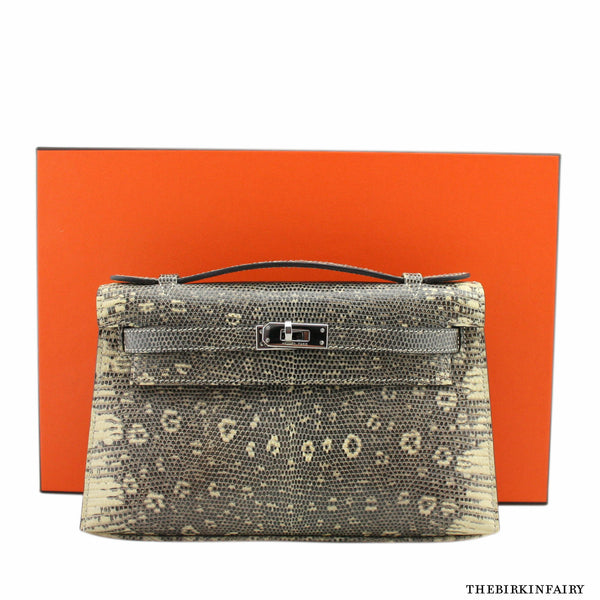 Hermes Birkin 25 Ombre Lezard Lizard Palladium Hardware #C - Vendome Monte  Carlo