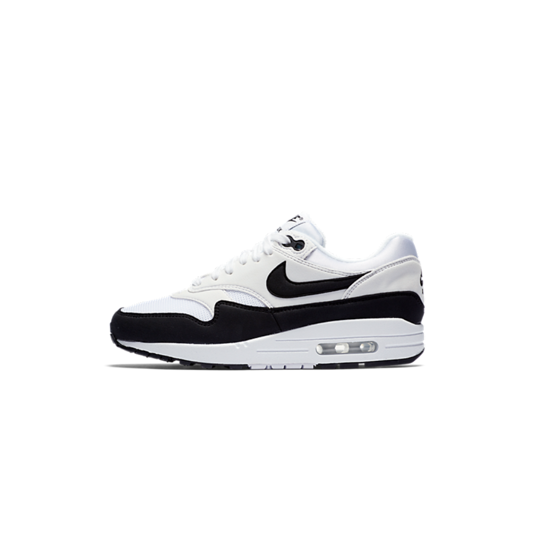 nike air max 1 archive