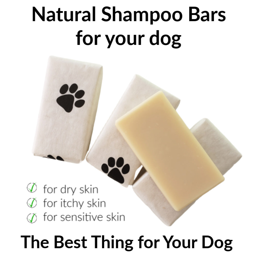 can i use coconut milk shampoo on my dog