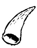 Cow Horn