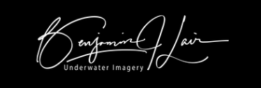 logo-image