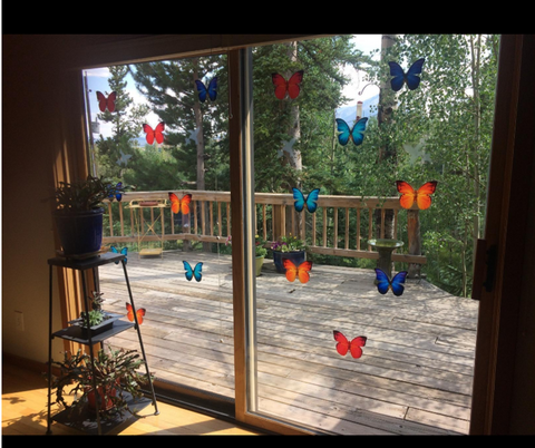 Butterfly Window Clings by Window Flakes :: Photo Thanks - Bruno