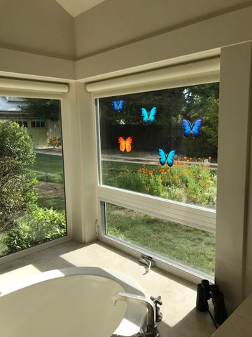 Butterfly Window Clings Preventing Bird Strikes on Windows