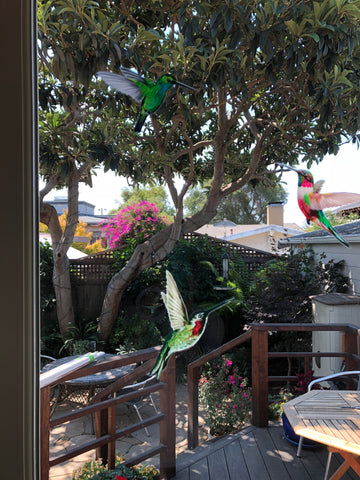 Hummingbird Window Clings :: By Window Flakes :: Pic By Bonnie