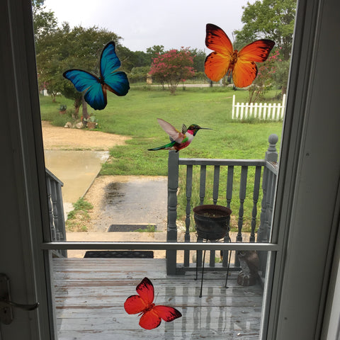 Butterfly & Hummingbird Window Clings from Window Flakes