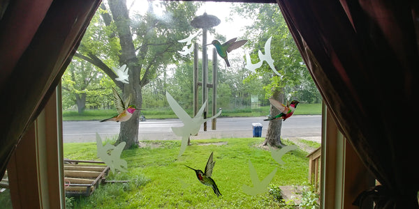 Hummingbird Window Clings from Window Flakes