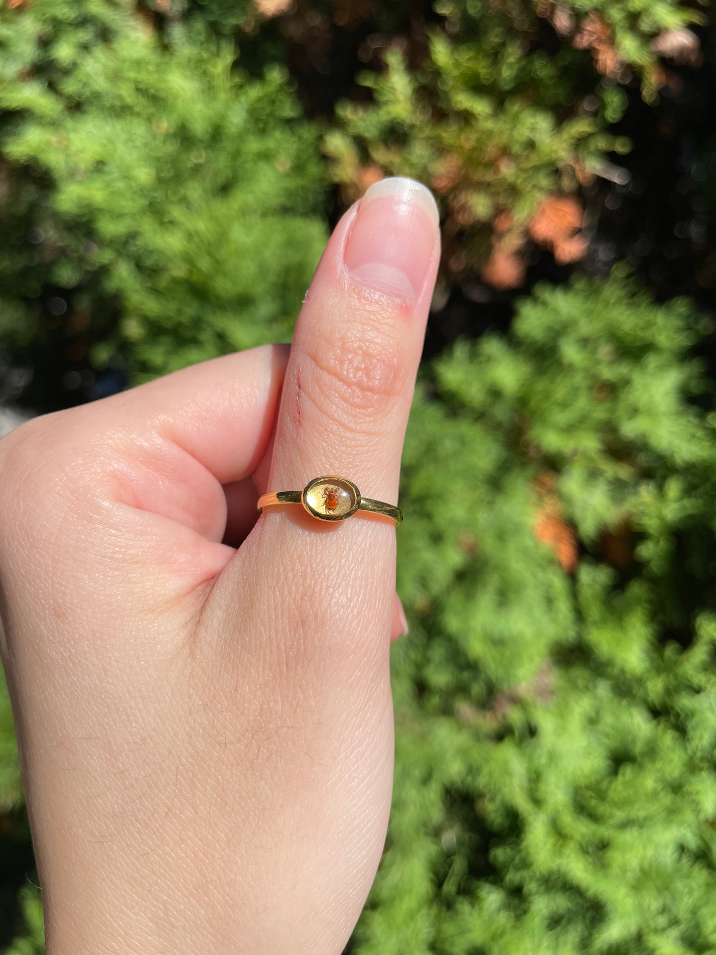 Lone Tick Ring - Size 8.5