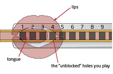 Harmonica tongue block