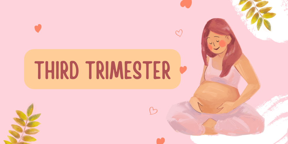 Embracing the Home Stretch: Nurturing Joy and Anticipation in the Third  Trimester – Snugkins