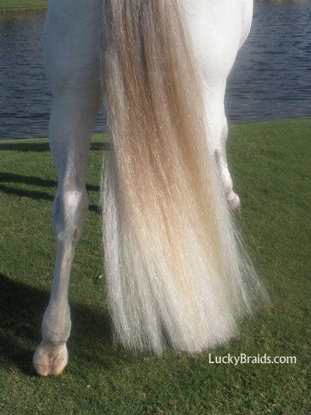 Miniature Horse Tail Bag helps grow a luxurious tail