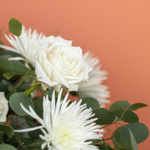 blissful white ceremony piece roses disbud mum