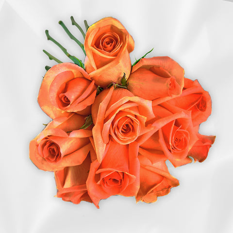 blissful orange rose bundle