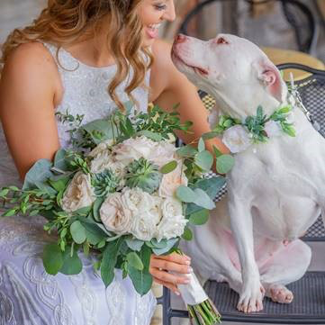 bride with dog holding adore succulent bridal bouquet roses