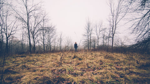 field in a forest