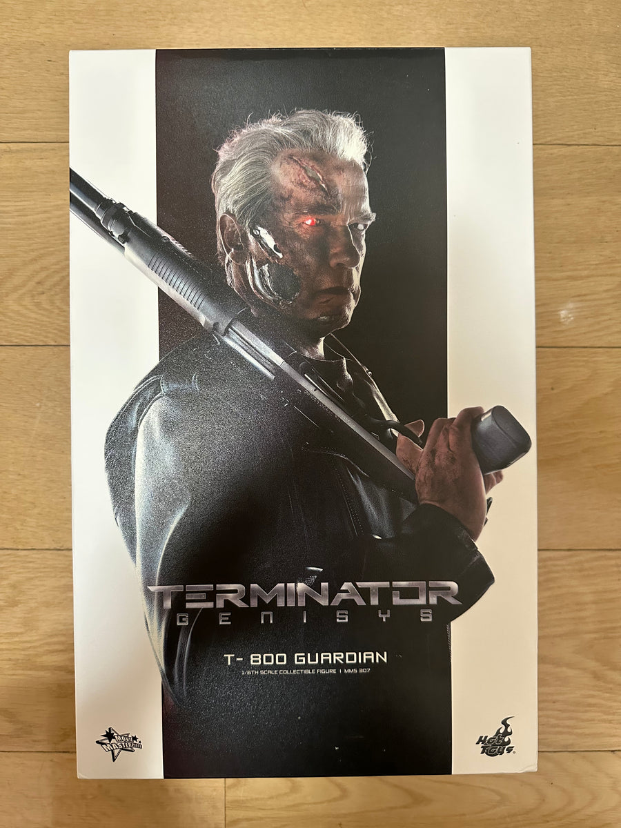 Hottoys Hot Toys 1/6 Scale MMS307 MMS 307 Terminator Genisys