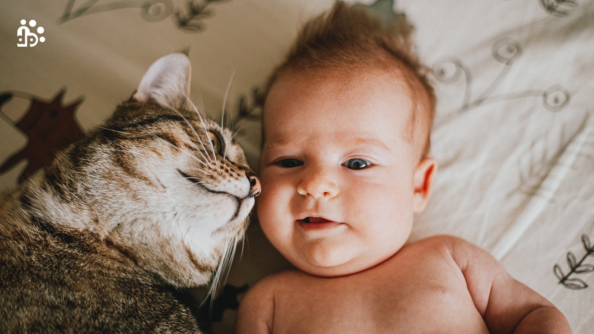 are cats or dogs better with babies