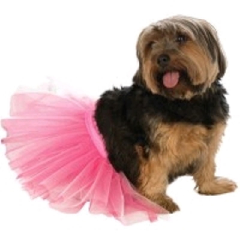 dog costume tutu