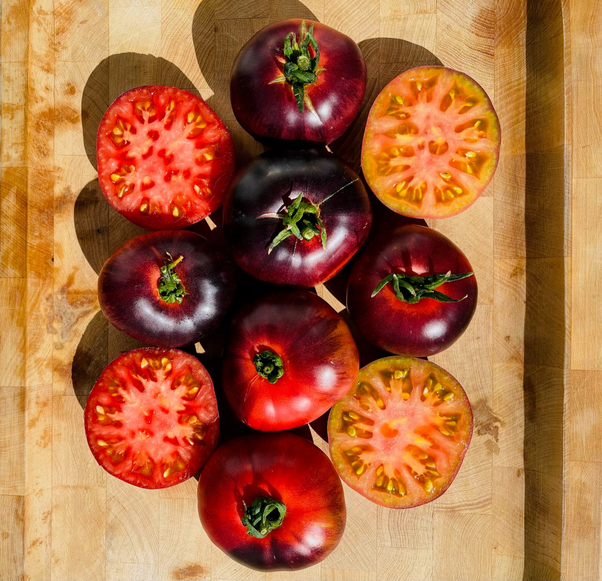 blue beauty tomato