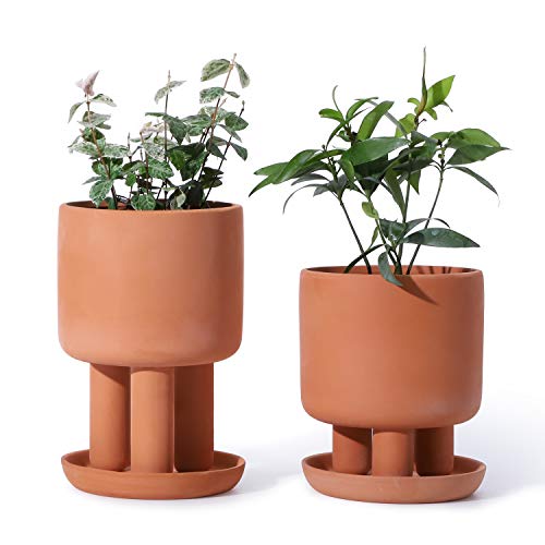 Set of 2 Unglazed Handmade Succulent Plant pots Flower Cactus Planter pot 