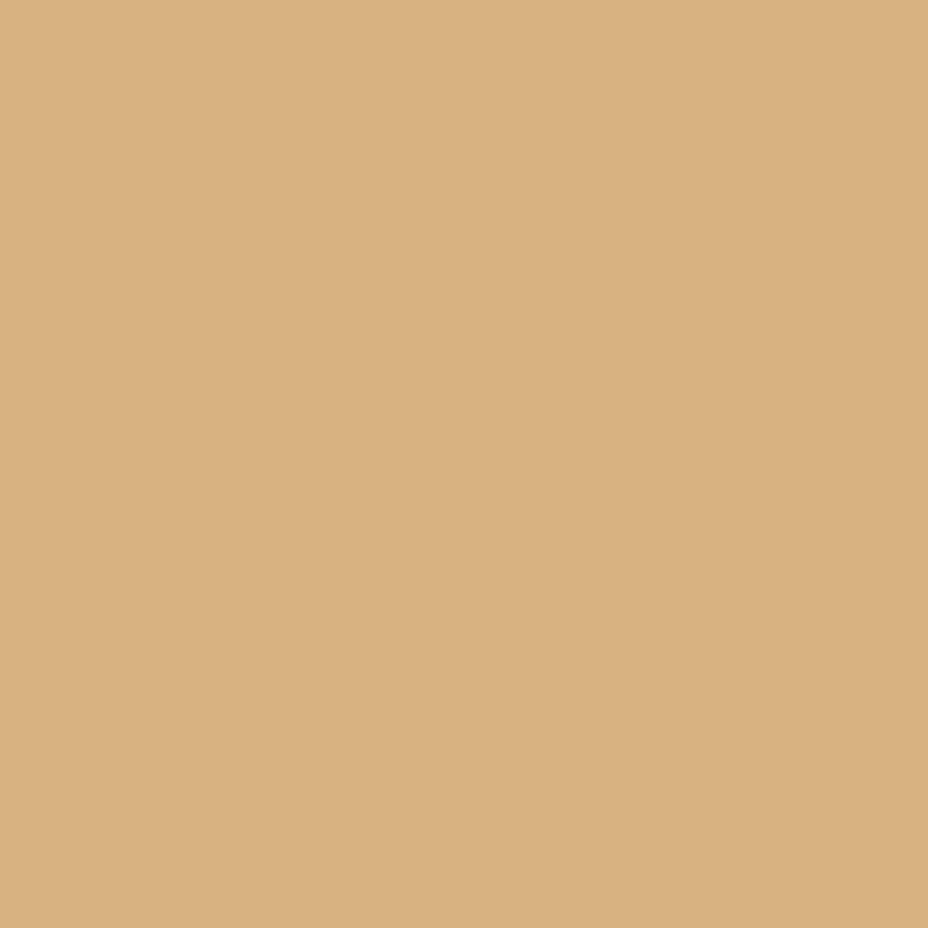 2165-40 Dark Beige - Paint Color | Paintscapes