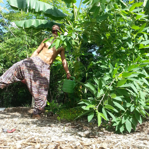 organic yoga pants