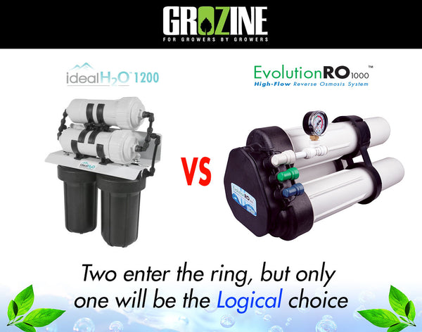 Grozine Comparison Test