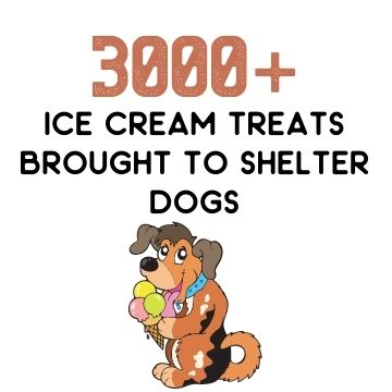 3000+ ice cream treats brought to dogs