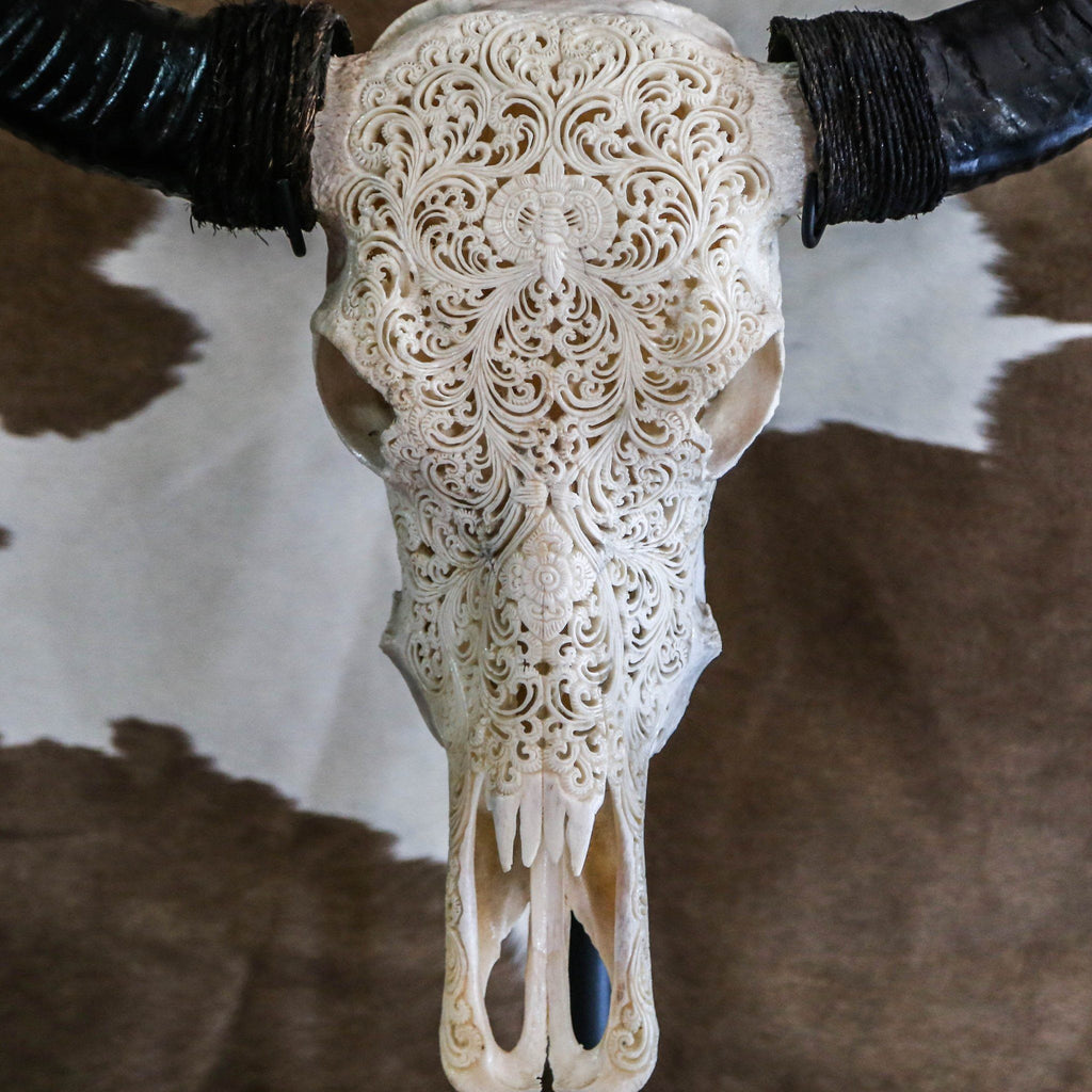 meget Krage Over hoved og skulder BUFFALO SKULL | Authentic Native Carving | Novum Crafts – Indian Headdress  - Novum Crafts