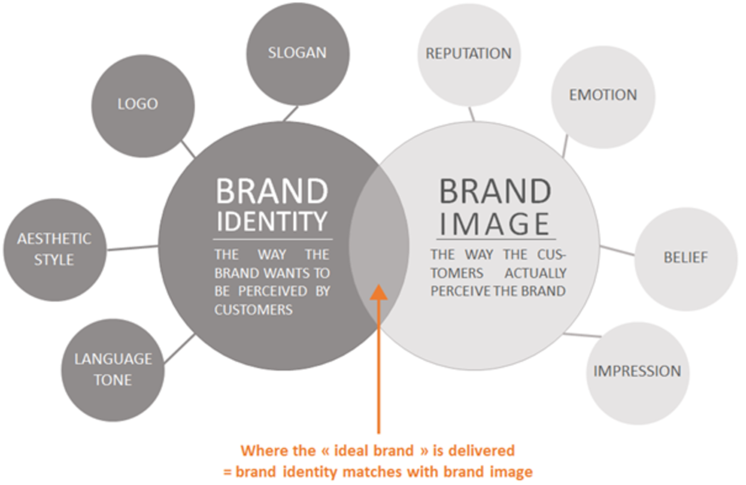 Visual Language: Brand Perception