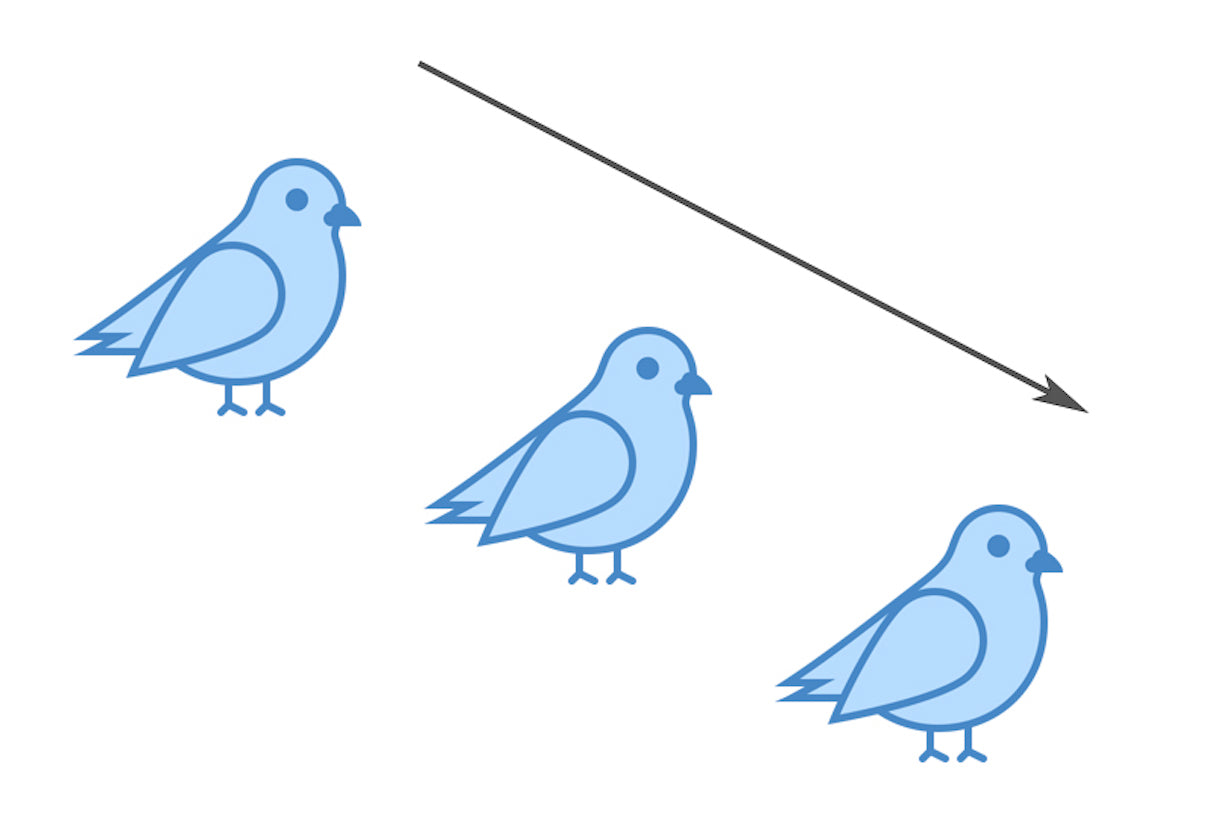 asymmetrical-design-translational-symmetry-birds
