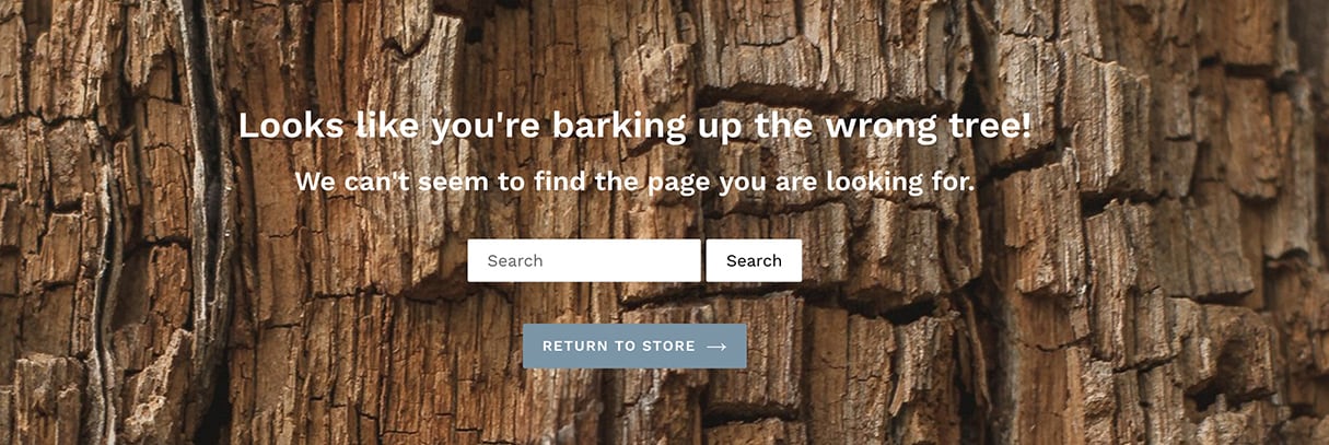 best 404 pages: search bar