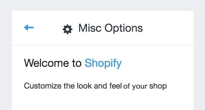 Introduction to Shopify Theme Options: JSON Misc Options Output
