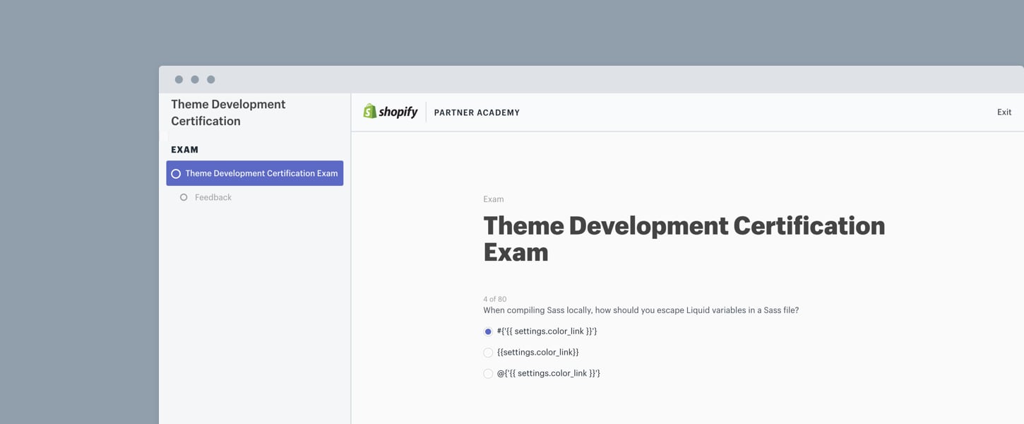 partner academy technical exams: theme