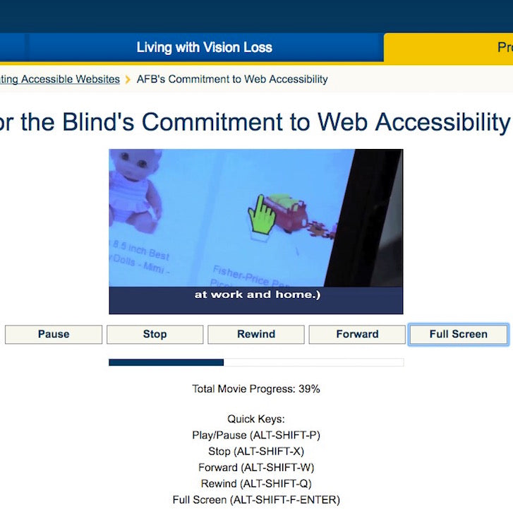 Website Accessibility: Vision