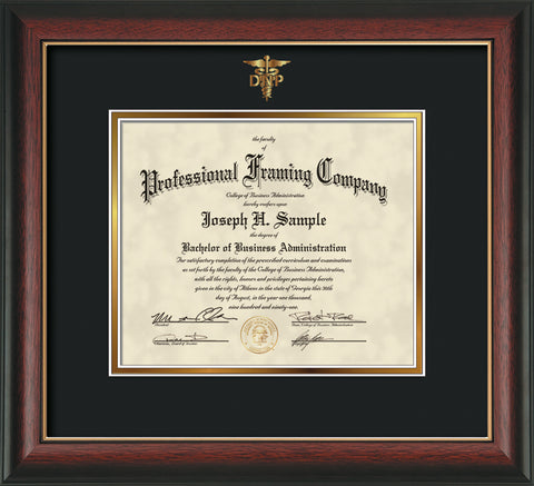 Gold DNP embossing for Doctor of Nursing Practice degree onto document, diploma or certificate frame