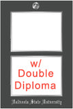 View all Illinois frames for double degree