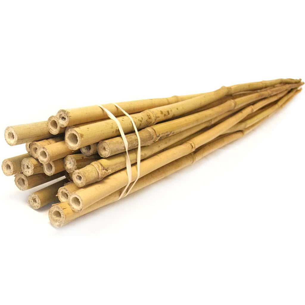2 Ft Natural Bamboo Plant Stick Trees Bamboo Stakes Support Climbing for Tomato Bean vensovo 30pcs Garden Bamboo Stakes 