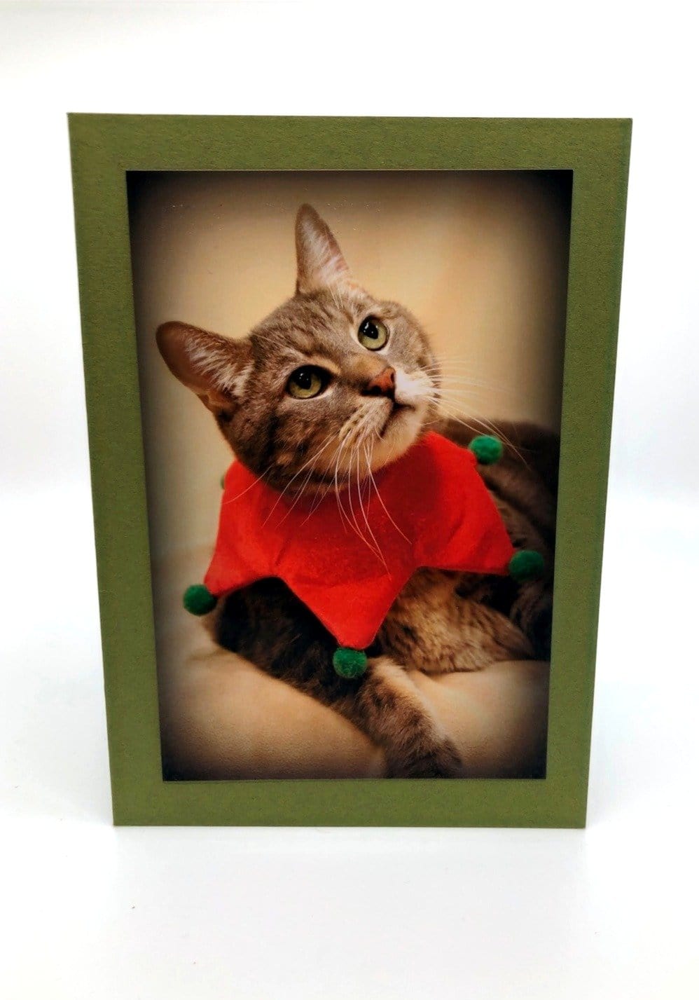 Christmas Cards (set of 5)