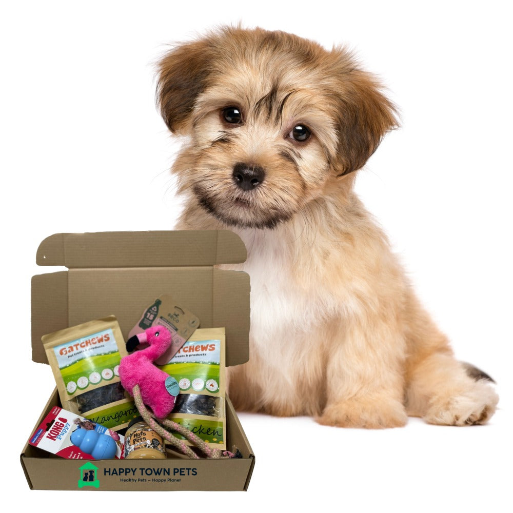 dog toys monthly subscription